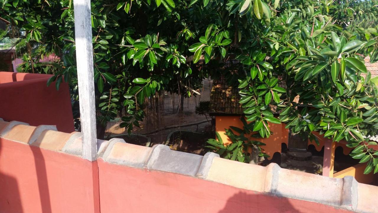 Big Milly'S Backyard Kokrobite Exterior foto