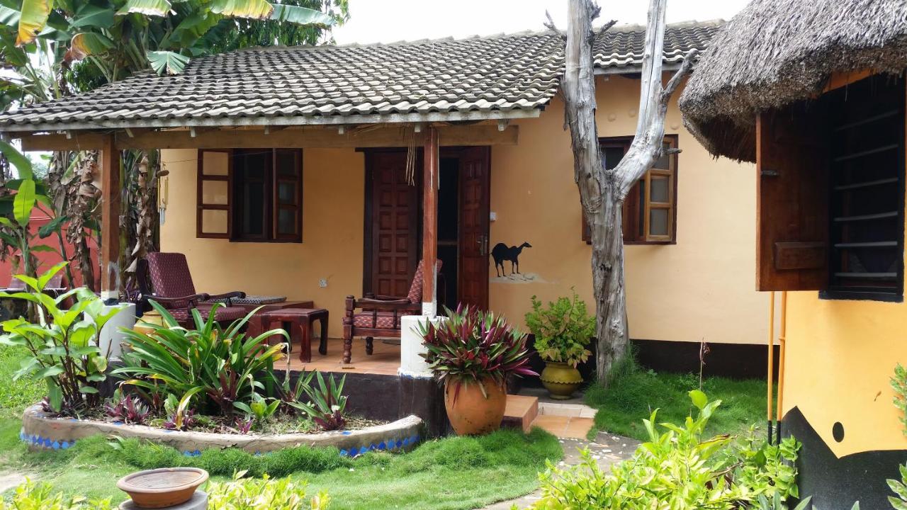 Big Milly'S Backyard Kokrobite Exterior foto